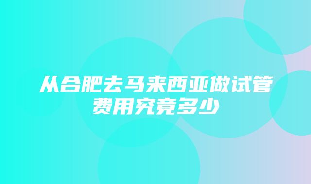 从合肥去马来西亚做试管费用究竟多少