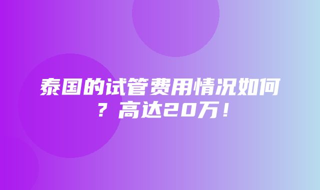 泰国的试管费用情况如何？高达20万！