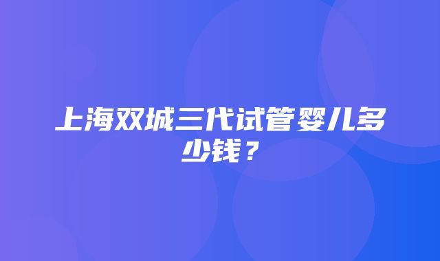 上海双城三代试管婴儿多少钱？