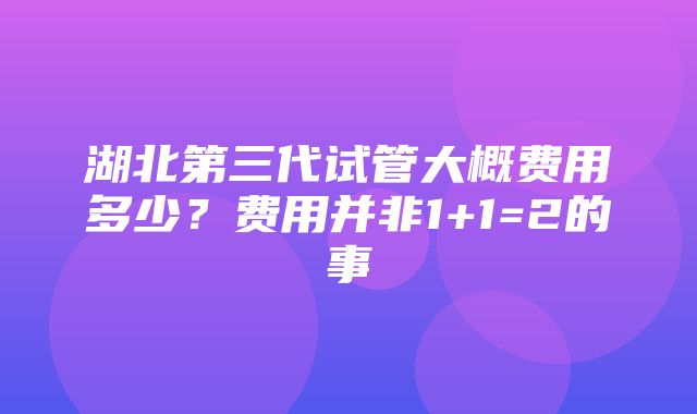 湖北第三代试管大概费用多少？费用并非1+1=2的事