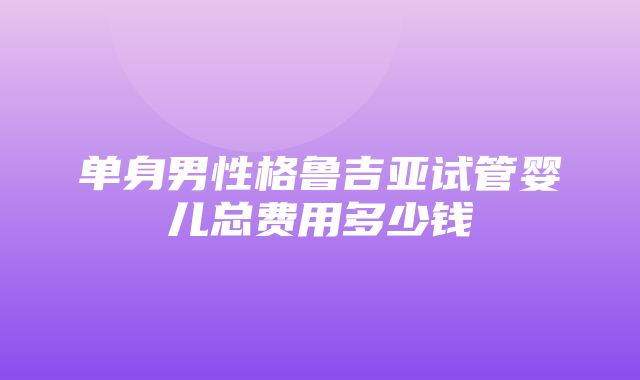 单身男性格鲁吉亚试管婴儿总费用多少钱