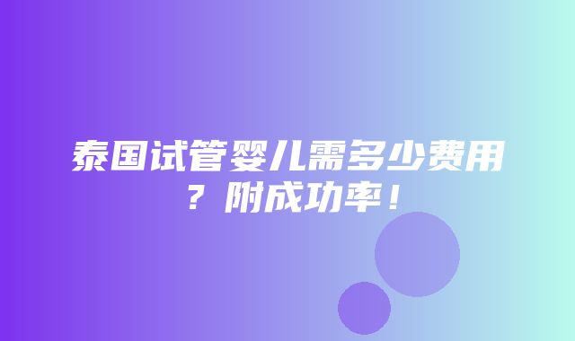 泰国试管婴儿需多少费用？附成功率！