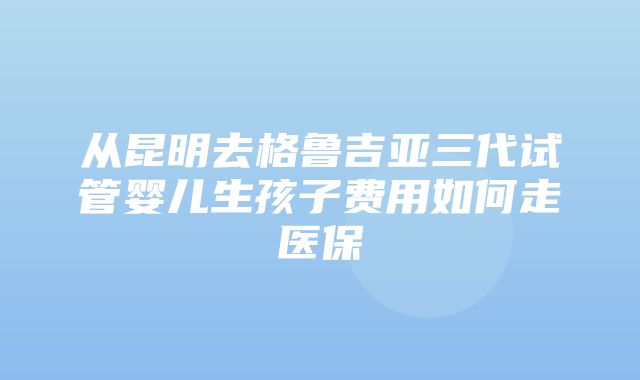 从昆明去格鲁吉亚三代试管婴儿生孩子费用如何走医保