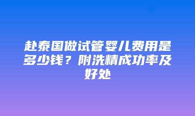 赴泰国做试管婴儿费用是多少钱？附洗精成功率及好处