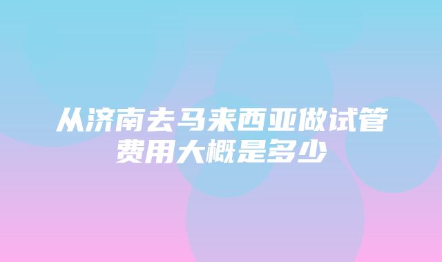 从济南去马来西亚做试管费用大概是多少