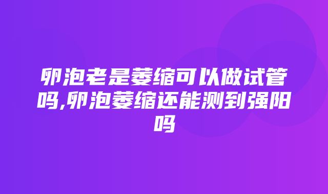 卵泡老是萎缩可以做试管吗,卵泡萎缩还能测到强阳吗