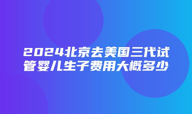 2024北京去美国三代试管婴儿生子费用大概多少