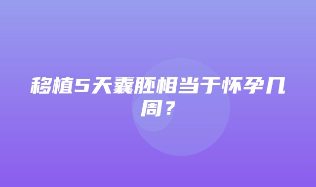 移植5天囊胚相当于怀孕几周？