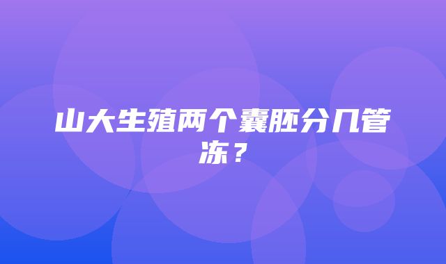 山大生殖两个囊胚分几管冻？