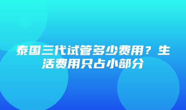 泰国三代试管多少费用？生活费用只占小部分