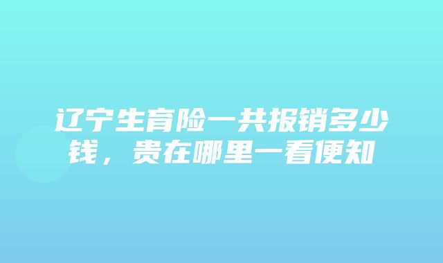 辽宁生育险一共报销多少钱，贵在哪里一看便知