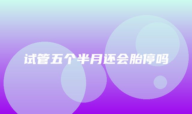 试管五个半月还会胎停吗