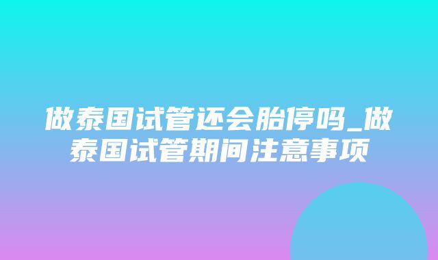 做泰国试管还会胎停吗_做泰国试管期间注意事项