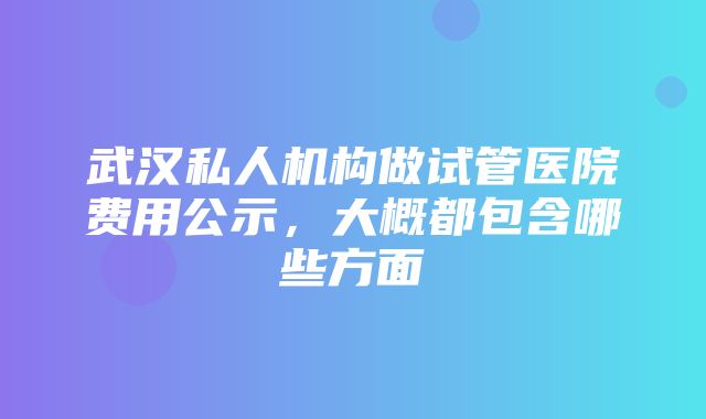 武汉私人机构做试管医院费用公示，大概都包含哪些方面