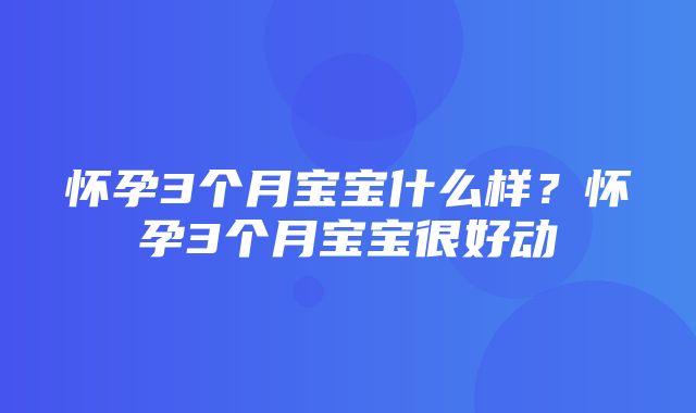 怀孕3个月宝宝什么样？怀孕3个月宝宝很好动