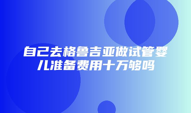 自己去格鲁吉亚做试管婴儿准备费用十万够吗