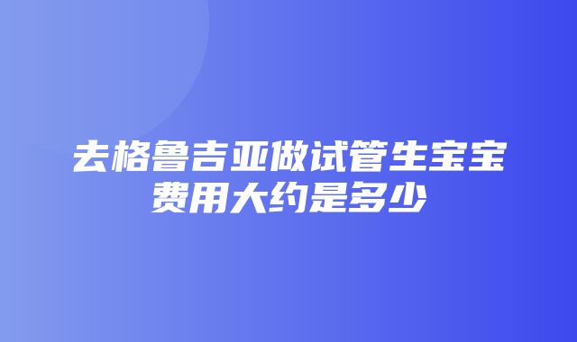 去格鲁吉亚做试管生宝宝费用大约是多少