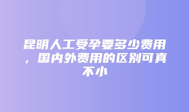 昆明人工受孕要多少费用，国内外费用的区别可真不小