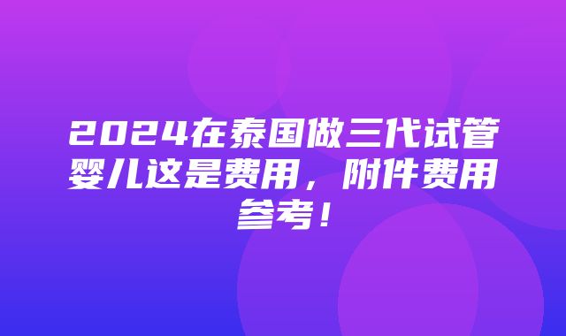 2024在泰国做三代试管婴儿这是费用，附件费用参考！