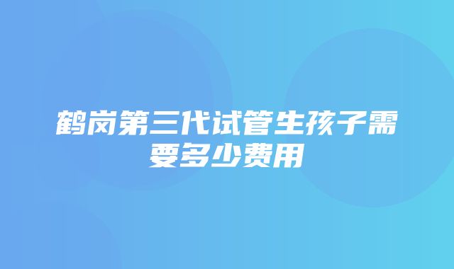 鹤岗第三代试管生孩子需要多少费用