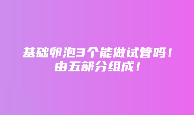 基础卵泡3个能做试管吗！由五部分组成！