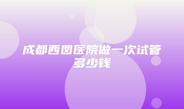 成都西囡医院做一次试管多少钱