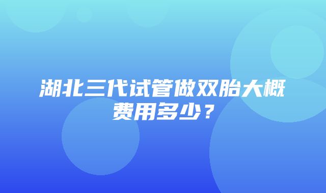 湖北三代试管做双胎大概费用多少？