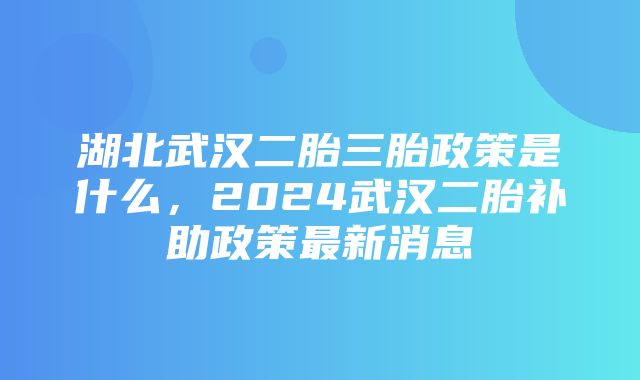 湖北武汉二胎三胎政策是什么，2024武汉二胎补助政策最新消息