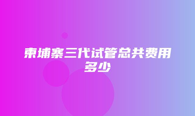 柬埔寨三代试管总共费用多少