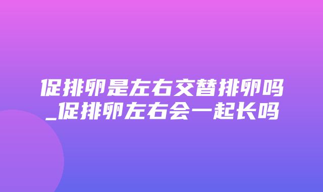 促排卵是左右交替排卵吗_促排卵左右会一起长吗