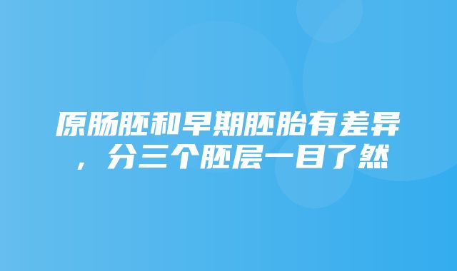 原肠胚和早期胚胎有差异，分三个胚层一目了然