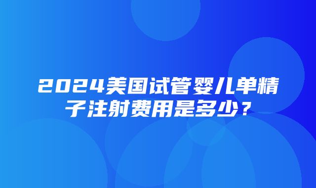 2024美国试管婴儿单精子注射费用是多少？