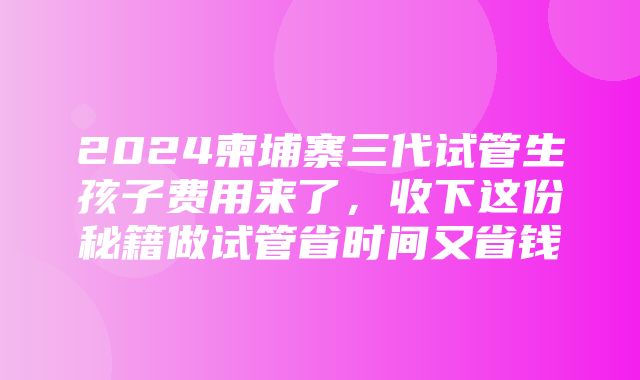 2024柬埔寨三代试管生孩子费用来了，收下这份秘籍做试管省时间又省钱