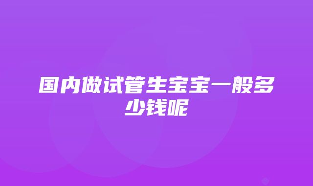 国内做试管生宝宝一般多少钱呢