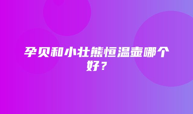 孕贝和小壮熊恒温壶哪个好？