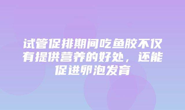 试管促排期间吃鱼胶不仅有提供营养的好处，还能促进卵泡发育