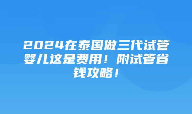 2024在泰国做三代试管婴儿这是费用！附试管省钱攻略！