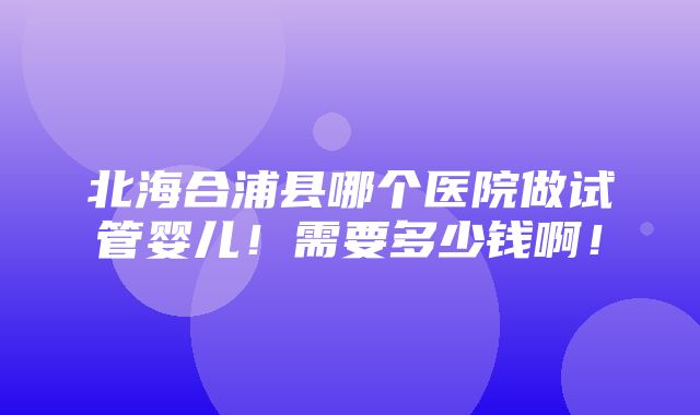 北海合浦县哪个医院做试管婴儿！需要多少钱啊！