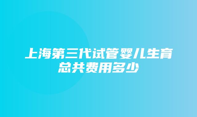 上海第三代试管婴儿生育总共费用多少