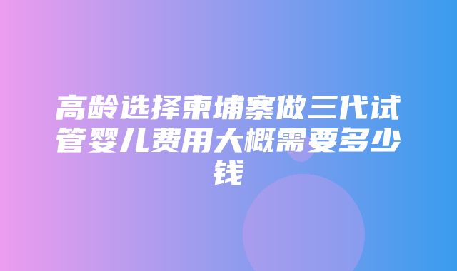 高龄选择柬埔寨做三代试管婴儿费用大概需要多少钱