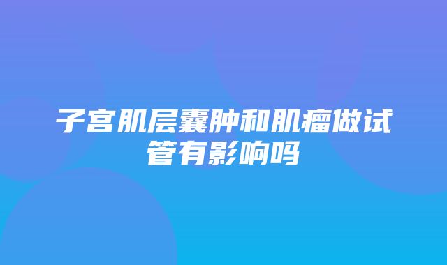 子宫肌层囊肿和肌瘤做试管有影响吗