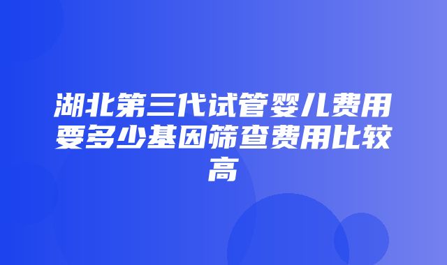 湖北第三代试管婴儿费用要多少基因筛查费用比较高