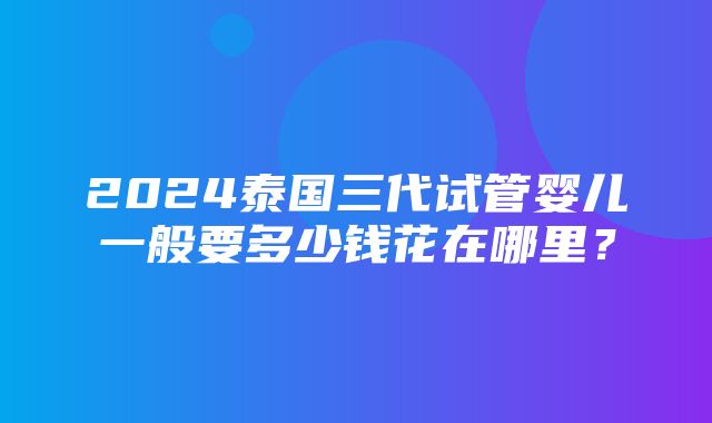 2024泰国三代试管婴儿一般要多少钱花在哪里？