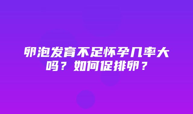 卵泡发育不足怀孕几率大吗？如何促排卵？