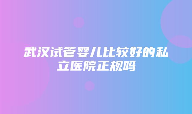 武汉试管婴儿比较好的私立医院正规吗