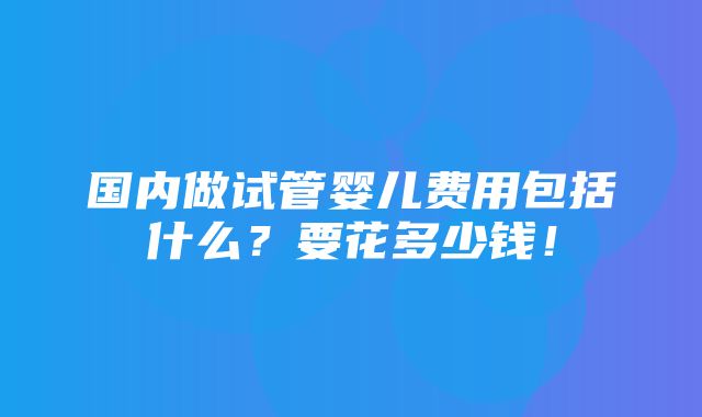 国内做试管婴儿费用包括什么？要花多少钱！