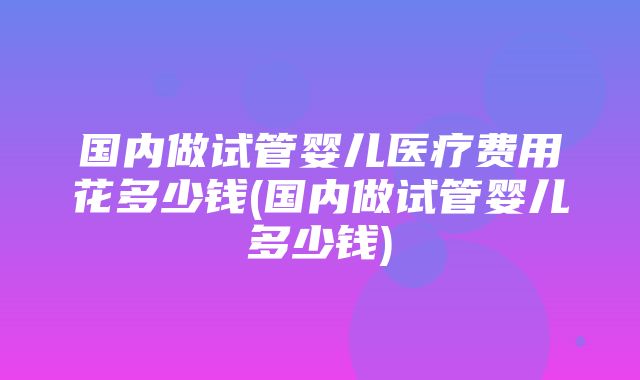 国内做试管婴儿医疗费用花多少钱(国内做试管婴儿多少钱)