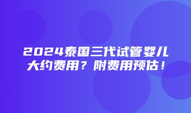 2024泰国三代试管婴儿大约费用？附费用预估！