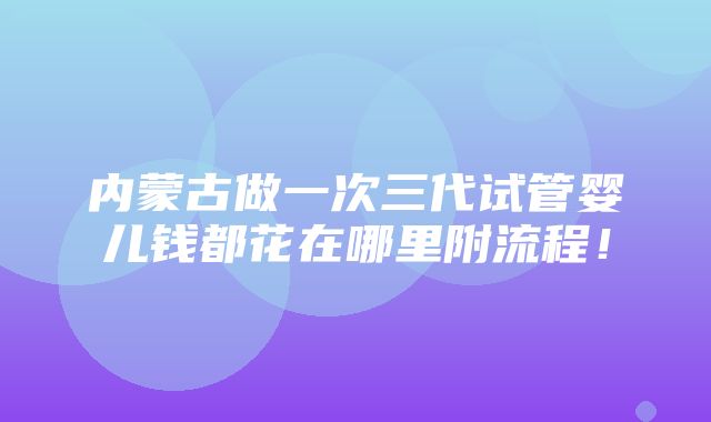 内蒙古做一次三代试管婴儿钱都花在哪里附流程！