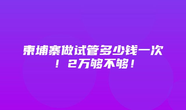 柬埔寨做试管多少钱一次！2万够不够！